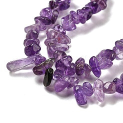 Natürlichen Amethyst Perlen Stränge&nbsp;G-G0003-B44