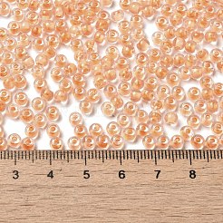 Perline rotonde in vetro trasparente&nbsp;SEED-B001-05A-31
