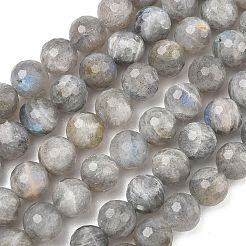 Chapelets de perles en labradorite naturelle &nbsp;G-L642-F07-8mm