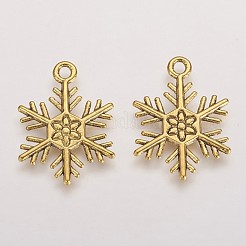 Pendentifs en alliage de style tibétain&nbsp;X-TIBEP-3264-AG-RS