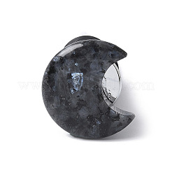 Bouchons de vin en larvikite naturelle de lune&nbsp;LS-DJEW-P021-D02