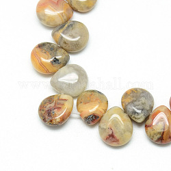 Hebras de cuentas de piedras preciosas de ágata loca natural, cuentas perforadas superiores, lágrima, 12x9~10x5~6mm, agujero: 1 mm, aproximamente 33 pcs / cadena, 9.84 pulgada