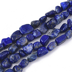 Natural Lapis Lazuli Beads Strands, Nuggets, Tumbled Stone, 5~11x5~8x3~6mm, Hole: 0.8mm, about: 52~56pcs/Strand, 15.94 inch(40.5cm)