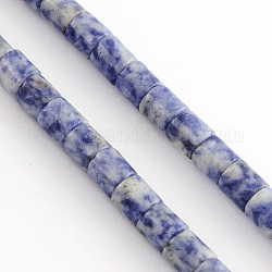Натуральные голубые пятна нитей яшмы, колонка, синие, 6x6 мм, отверстие : 1 мм, около 66 шт / нитка, 15.7 дюйм