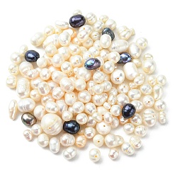 Perline di guscio, ovale, colore misto, 6~10x3~10x2.5~10mm, Foro: 0.6~1 mm