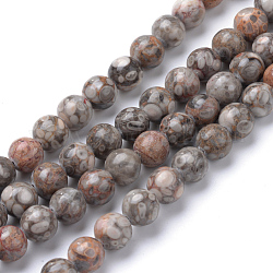 Chapelets de perles maifanite/maifan naturel pierre , ronde, 10~11mm, Trou: 1mm, Environ 37~39 pcs/chapelet, 14.8~15 pouce