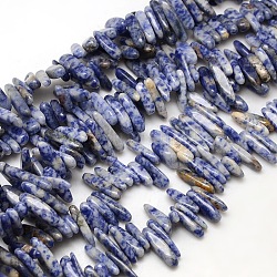 Hebras de cuentas de jaspe de punto azul natural, patatas fritas, 13~26x4~8x4~6mm, agujero: 1 mm, aproximamente 80~90 pcs / cadena, 15~16 pulgada