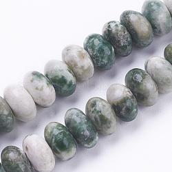 Fili di perle di diaspro spot verde naturale, rondelle, 8~8.5x4~5mm, Foro: 1 mm, circa 78~79pcs/filo, 15.3 pollice (39 cm)