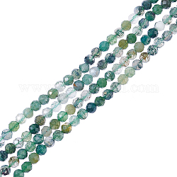 Nbeads environ 246 pièce de perles de pierres précieuses à facettes micro de 3 mm, Perles d'agate de mousse naturelle perles de pierre naturelle perles de rideau perles en vrac pour la fabrication de bijoux de bracelet de collier, Trou: 1mm
