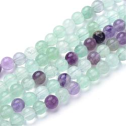 Natural Fluorite Beads Strands, Round, Colorful, 6~6.5mm, Hole: 1mm, about 63pcs/strand, 15.5 inch