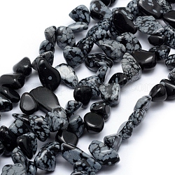 Naturschneeflocke Obsidian Perlen Stränge, Chip, 11~22x8~11x4~10 mm, Bohrung: 1 mm, 15.3 Zoll (39 cm)
