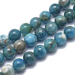 Chapelets de perles en apatite naturelle, ronde, 10mm, Trou: 1mm, Environ 39 pcs/chapelet, 15.5 pouce (39.5 cm)