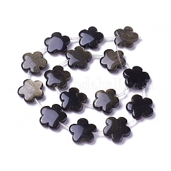 Chapelets de perles en obsidienne dorée naturelle, fleur, 20~21x5~6mm, Trou: 1mm, Environ 15 pcs/chapelet, 14.96 pouce