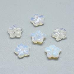 Perline Opalite, fiore di prugna, 9~10x9~10x3.5mm, Foro: 1 mm