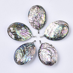 Pendenti bifacciale in conchiglia abalone naturale / conchiglia paua, con fermagli pendenti in ottone placcato platino, ovale, colorato, 55~59x41.5~43.5x19~22mm, Foro: 5x3~4 mm
