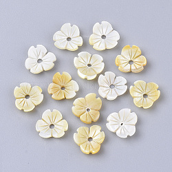 Perles de coquillage jaune, 3 d fleurs, verge d'or pale, 10.5x11x3mm, Trou: 1.6mm