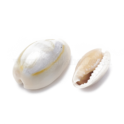 Perle di conchiglia di ciprea&nbsp;SSHEL-T004-05-1