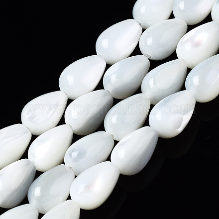 Chapelets de perles de coquille de trochid / trochus coquille SSHEL-S266-022-1