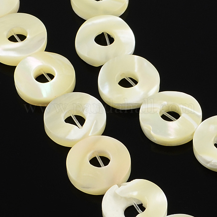 Ring Natural White Shell Beads Strands BSHE-Q025-09-1