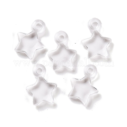 Pendentifs en acrylique transparent &nbsp;OACR-M011-10-1