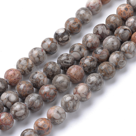 Fili di perline di pietra naturale di maifanite / maifan G-R345-10mm-40-1