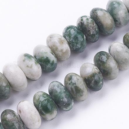 Fili di perle di diaspro spot verde naturale G-F520-09-1