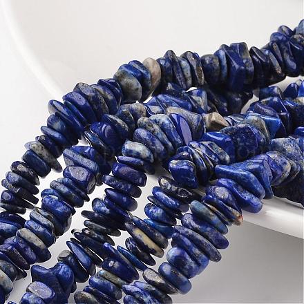 Dyed Natural Lapis Lazuli Beads Strands G-M348-13-1