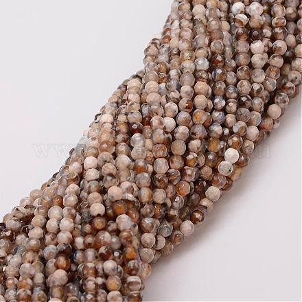 Natural Fire Crackle Agate Beads Strands G-G882-4mm-B06-3-1