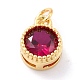 Real 18K Gold Plated Brass Inlaid Cubic Zirconia Charms ZIRC-L100-081G-07-2