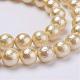 Wrinkle Textured Shell Pearl Beads Strands BSHE-E016-8mm-04-1