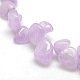 Natural Amethyst Crackle Agate Chips Beads Strands G-P032-07-2