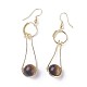 Natural Mixed Stone Dangle Earrings EJEW-F223-03-2