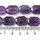 Natürlichen Amethyst Perlen Stränge&nbsp;G-P544-B06-01-5