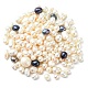 Perles nacrées en coquilles BSHE-XCP0001-06-1