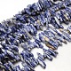 Perles de jaspe tache bleue naturelle G-P033-03-1