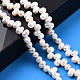 Natural Cultured Freshwater Pearl Beads Strands PEAR-N013-05F-2