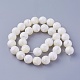Chapelets de perles de coquillage SSHEL-E571-39-12mm-2