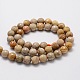 Faceted Round Natural Fossil Coral Bead Strands G-L437-03-8mm-2