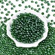 Прозрачное стекло Бисер SEED-N007-33B-08-2