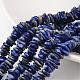 Dyed Natural Lapis Lazuli Beads Strands G-M348-13-1
