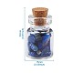 Bottiglie di vetro con perline di pietre preziose naturali e sintetiche kissitty G-KS0001-02-8