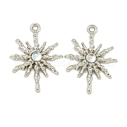 Подвески из сплава  FIND-Z061-01P