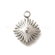Подвески из нержавеющей стали 304 STAS-H165-22P