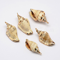 Pendientes de concha de caracol de oro galvánico, 26~52x13~23x15~17mm, agujero: 2 mm
