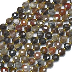 Petrificados abalorios de madera hebras naturales, con abalorios de la semilla, cuentas de monedas facetadas, plano y redondo, 6~6.5x4mm, agujero: 1 mm, aproximamente 50 pcs / cadena, 15.35'' (39 cm)