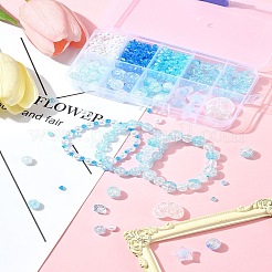 10 Stil transparente Crackle Acrylperlen&nbsp;MACR-FS0001-81
