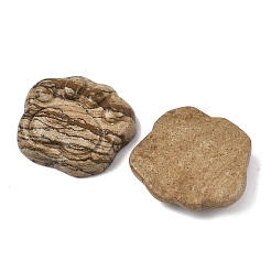 Natürliche Bildjaspis-geschnitzte Cabochons&nbsp;G-I395-A01