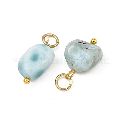 Natürliche Larimar Anhänger&nbsp;PALLOY-JF05952