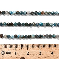 Natürliche Apatit Perlen Stränge&nbsp;G-RM2025-36-3mm