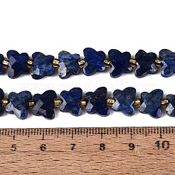 Naturales lapis lazuli teñidos abalorios hebras&nbsp;G-N371-10A-02
